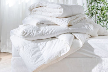 Wool vs. Down Duvets: The Ultimate Comparison