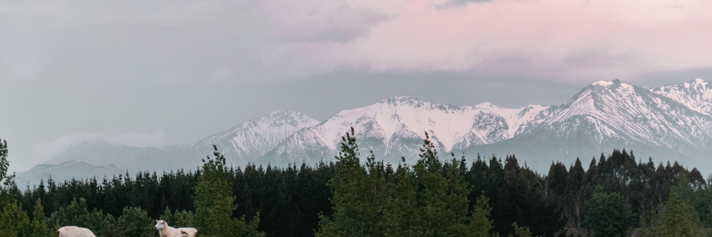 Desktop Image